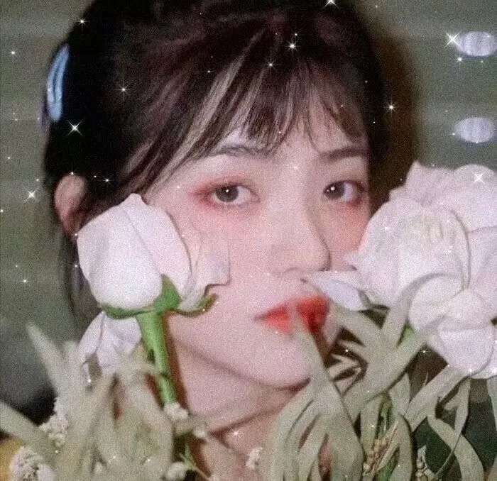 女人帮